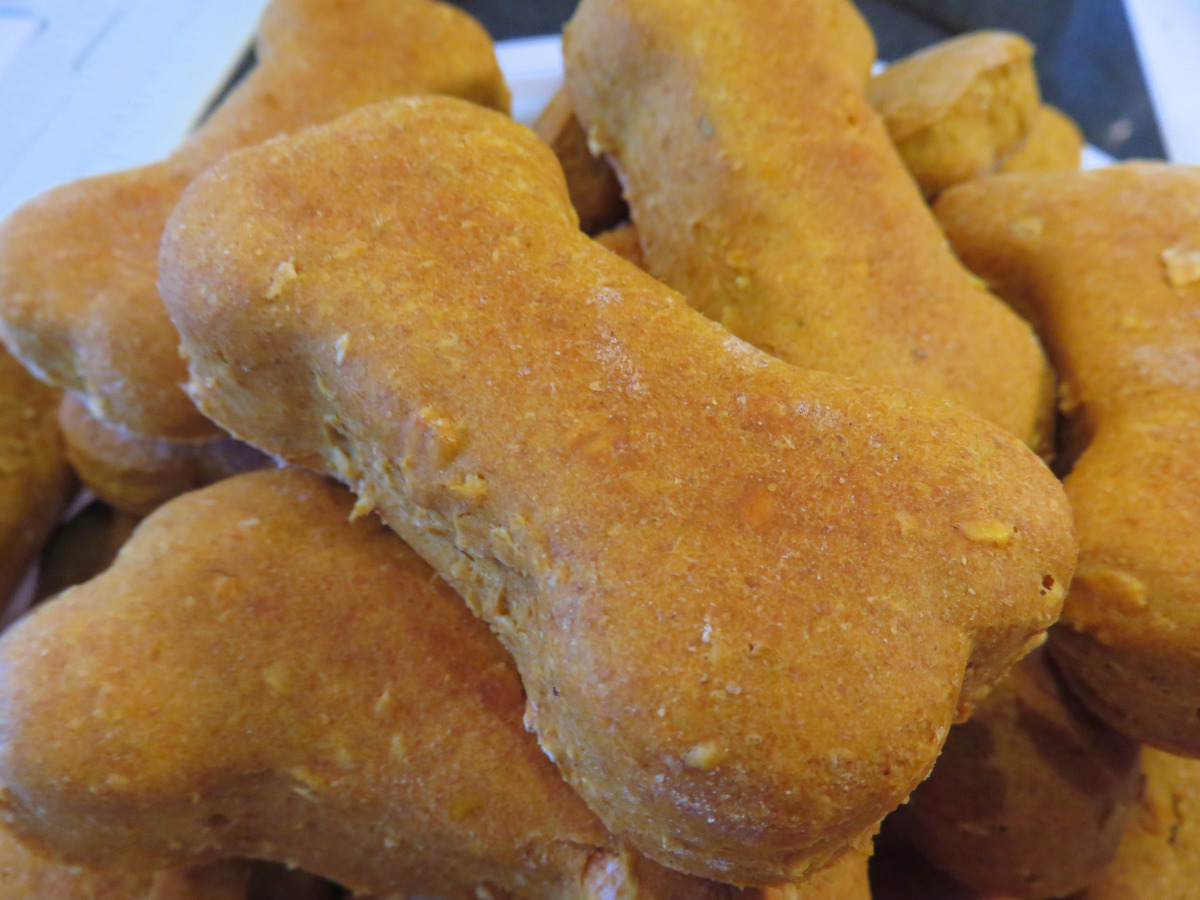 Bonnie dog biscuits sale